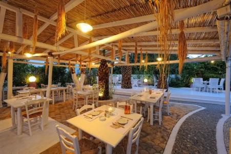 Drossia Palms and Nisos Beach Suites - 21