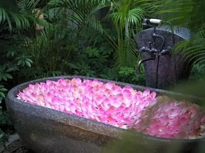 Shinta Mani Angkor & Bensley Collection Pool Villas - 87