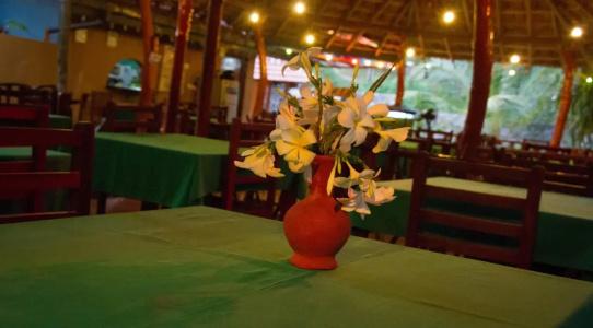 Green Garden Cabanas - 16
