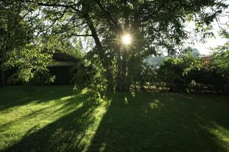 -Restaurant Esbach Hof - 8