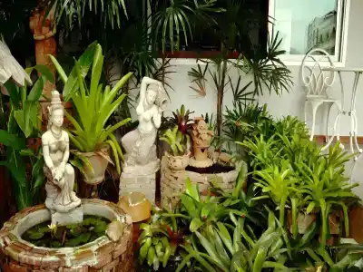 Loei Orchid - 14