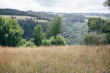 Fetz - Das Loreley - 17