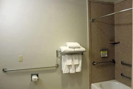 Holiday Inn Express & Suites Tucson Mall, An Ihg - 82