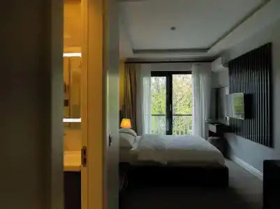Didi - 36
