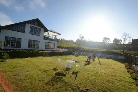 The Tea Garden - 8
