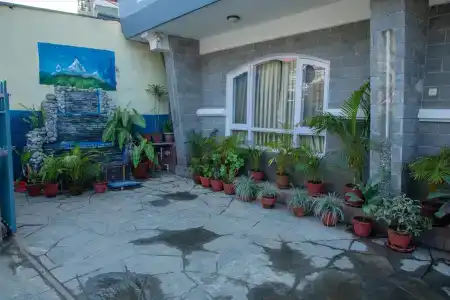 Bougainvillea - 14