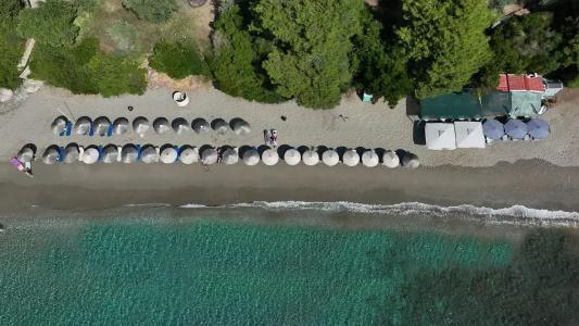 Golden King Villas - 4