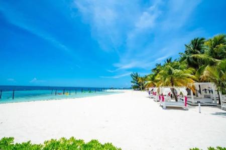 Oh! Cancun - The Urban Oasis - 23