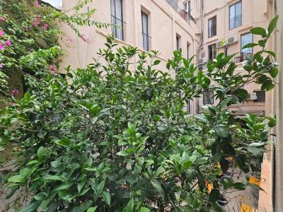 Palermo - 133