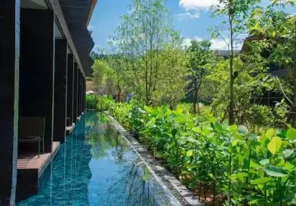 Kalima Resort And Villas Khao Lak - Sha Extra Plus - 60