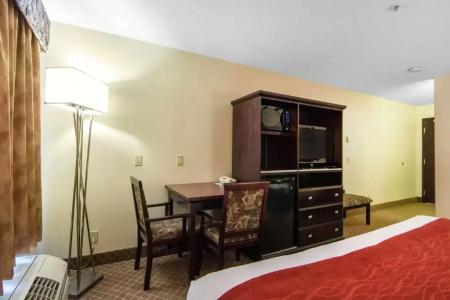 Comfort Inn & Suites Airport South - 26