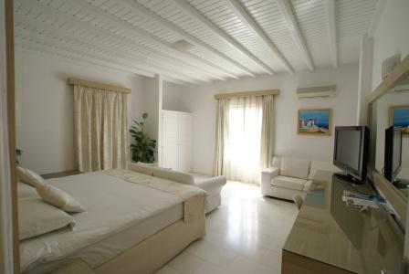 Dionysos Luxury Mykonos - 5