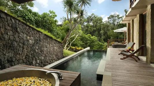 Maya Ubud Resort & Spa - 47