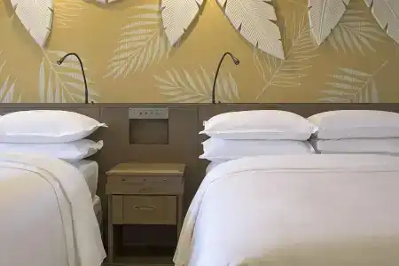 Sheraton Grande Tokyo Bay - 5