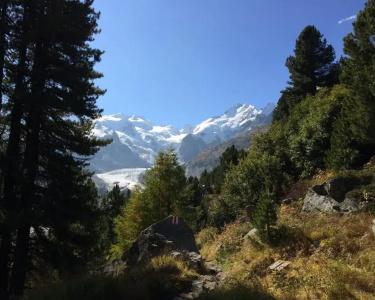 Bernina - 20