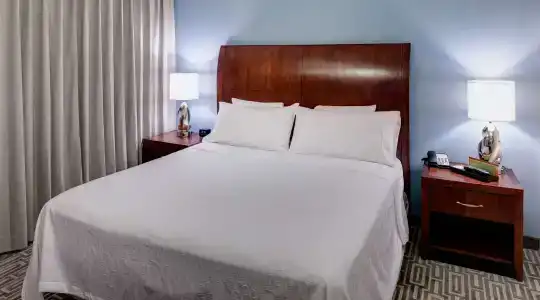 Hilton Garden Inn Denver Downtown - 5