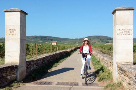 Hostellerie Cèdre & Spa Beaune - 24