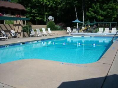 Tall Pines - 8