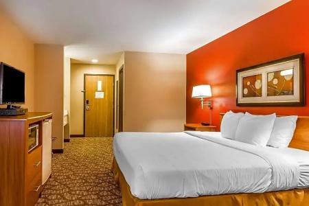 Quality Inn & Suites Chesterfield Village - 34