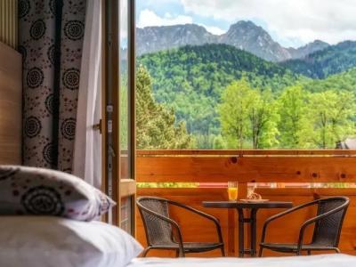 Zakopane Wellness & Spa Ex Korona Tatr - 7