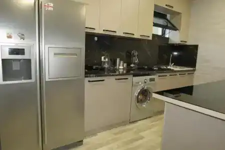 Bibos kokhi - 23