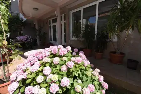 Guest House Zec - 12