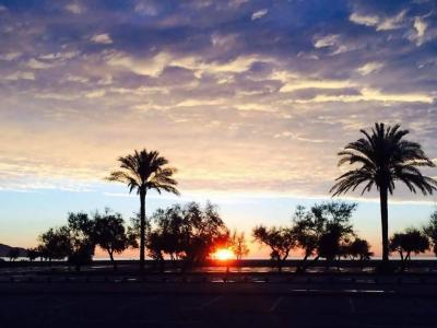 Port Salins - 21