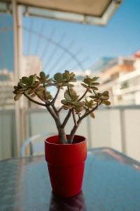Sucre Suites - 166