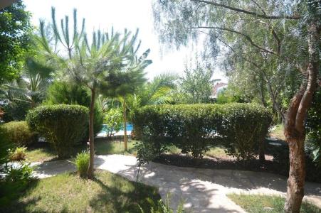Jasmin Apart - 15