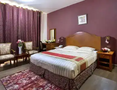 Safeer Suites - 25