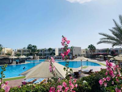Sharm Reef Resort - 25