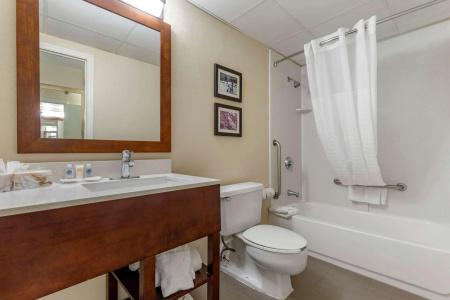 Comfort Inn Charlotte Airport Uptown - 9