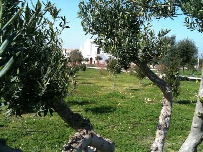 Casale del Murgese Country Resort - 6