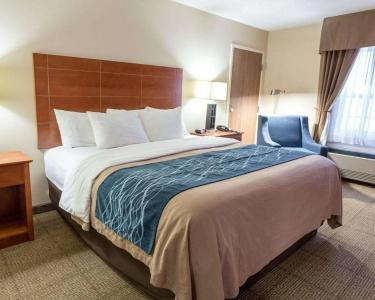 Comfort Inn Civic Center - 2