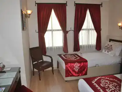 Sarnic & Sarnic Premier(Ottoman Mansion) - 85