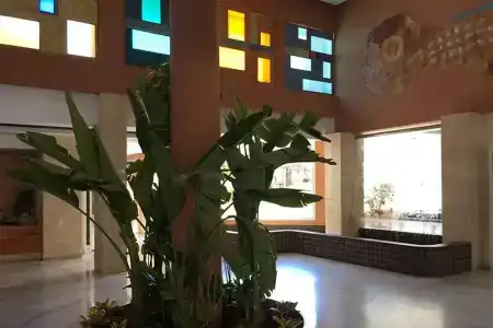 Arena Center - 21