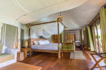 9 Hornbills Tented Camp - Sha Plus - 29