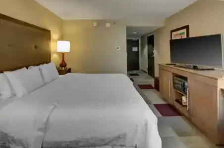 Hampton Inn Miami-Coconut Grove/Coral Gables - 59