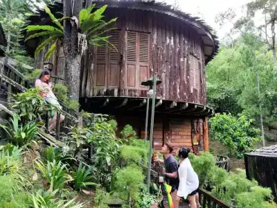 Fig Tree Hills (花果山度假村) - 32