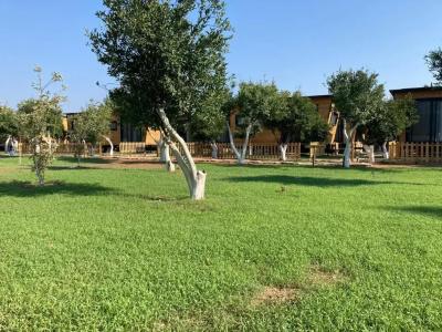 Gaia Tiny Houses Butik - 4