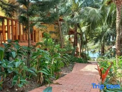 Free Beach Resort - 72