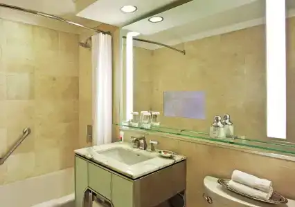 Loews Regency New York - 8