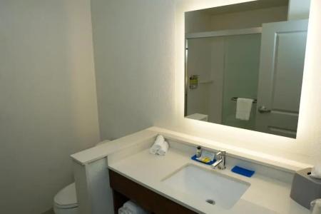 Holiday Inn Express & Suites - Aurora Medical Campus, An Ihg - 59