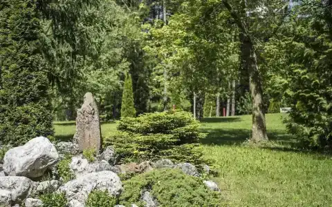 Waldsee - 42