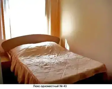 Гвоздика - 31