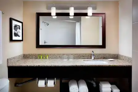 Deltas by Marriott Waterfront - 48