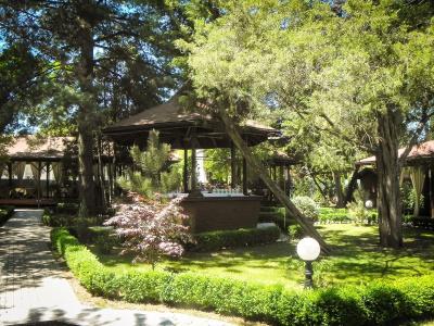 Baneasa Parc - 4