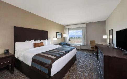 Wingate by Wyndham Denver Airport - 5