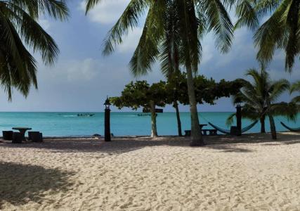 Dewshore Resort - 4