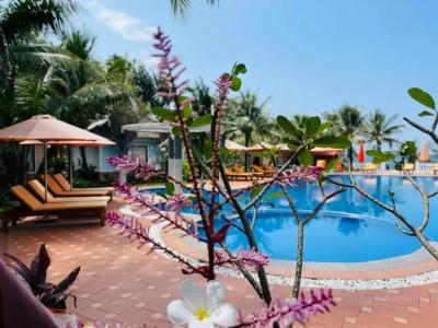 Orange Resort - 200